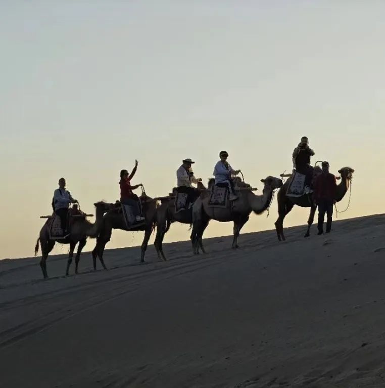 Sand Sea Journey, Heart towards the Future | 2024 Guangdong Coatings and Ink Industry Gobi Hiking Ch Sand Sea Journey, Heart towards the Future | 2024 Guangdong Coatings and Ink Industry Gobi Hiking Ch